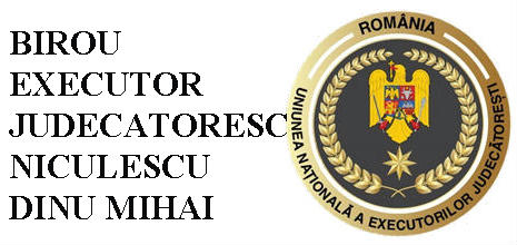 BEJ NICULESCU DINU MIHAI