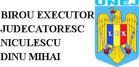 BEJ NICULESCU DINU MIHAI
