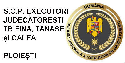 Bej trifina tanase si galea