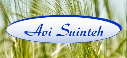AVI SUINTEH SRL