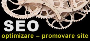 SEO TIMISOARA