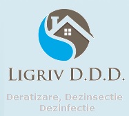 LIGRIV DDD SRL