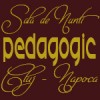 SALA DE NUNTI PEDAGOGIC DIN CLUJ NAPOCA